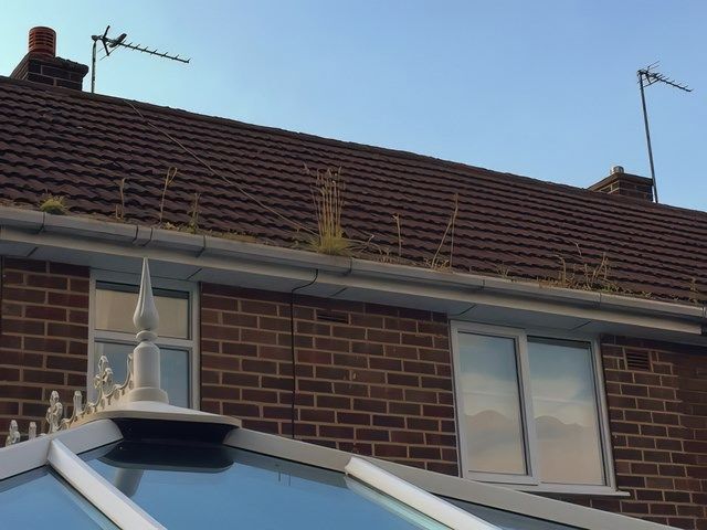 gutter-cleaning (11)-kireth-ai